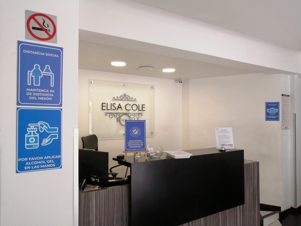 Elisa Cole Hotel Santiago